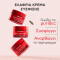 APIVITA - Beevine Elixir Wrinkle & Firmness Lift Cream Light Ελαφριά Αντιρυτιδική Κρέμα Σύσφιξης & Lifting - 50ml
