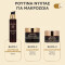 APIVITA - Queen Bee Longevity Serum για Δράση σε 12 Δείκτες Νεότητας - 30ml