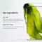 BIODANCE - Refreshing Sea Kelp Real Deep Mask Υδρογέλης Προσώπου με Φύκια - 4τμχ