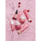 CAUDALIE - Vinosource-Hydra Grape Water Gel Moisturizer Ενυδάτωση για Πρόσωπο & Λαιμό για Ευαίσθητες Κανονικές προς Μικτές Επιδερμίδες - 50ml