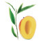 KLORANE - Nutrition Creme De Jour a la Mangue Κρέμα Ημέρας για Θρέψης με Μάνγκο για Ξηρά Μαλλιά -125ml
