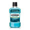 LISTERINE - Cool Mint Στοματικό Διάλυμα με Ήπια Γεύση - 500ml