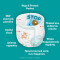 PAMPERS - Monthly Pack Active Baby Pants Βρακάκια No5 (11-17kg) - 164τμχ