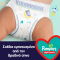 PAMPERS - Night Pants Βρακάκι Νύχτας Νο6 (15+kg) - 19τμχ