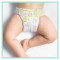 PAMPERS - Premium Care Monthly Pack Πάνες No3 (6-10kg) - 200τμχ