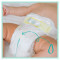 PAMPERS - Premium Care Monthly Pack Πάνες No3 (6-10kg) - 200τμχ