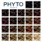 PHYTO - Permanent Color Μονιμη Βαφή Μαλλιών με Φυτικές Χρωστικές No4.77 Καστανό Έντονο Μαρόν